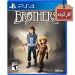 دیسک بازی Brothers: A Tale of Two Sons کارکرده - مخصوص PS4