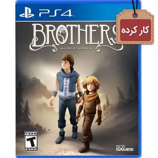 Brothers A Tale of Two Sons PS4 Used Disc