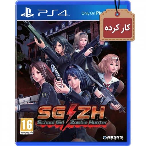 School Girl Zombie Hunter PS4 Used Disc