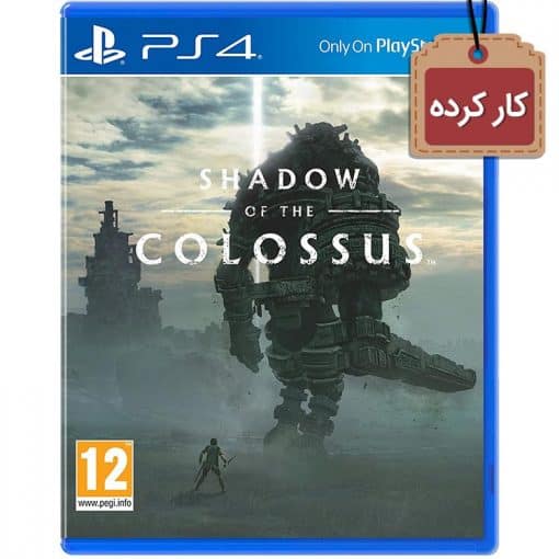 خرید بازی کارکرده Shadow of the Colossus برای PS4