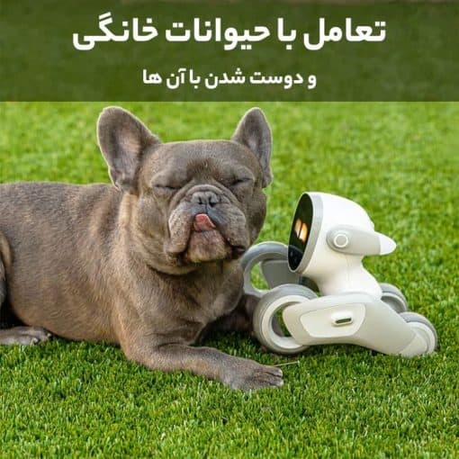 خرید ربات هوشمند Loona Pet Robot خاکستری