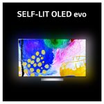 خرید تلویزیون LG OLED EVO G2 مناسب گیمینگ سایز 65 اینچ