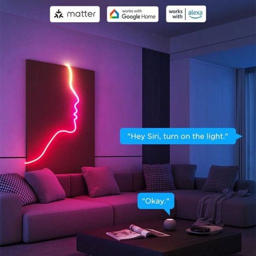 خرید چراغ نئونی هوشمند 3 متری Govee RGBIC LED Neon Rope