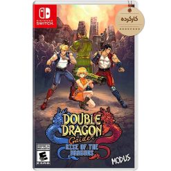 خرید بازی Double Dragon Gaiden Rise Of The Dragons کارکرده نینتندو