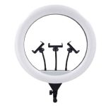 خرید رینگ لایت 46 سانتی متری مدل YQ460