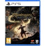 خرید بازی Mandragora Whispers of the Witch Tree برای PS5